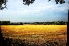 14425328_10153964722896446_587745841075787168_o