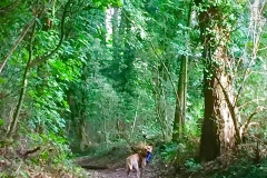 IMG_9343-e1475422918904