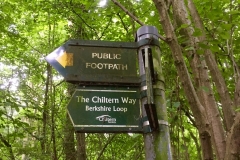 IMG_9357-e1475422877323