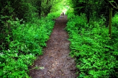 IMG_1717-e1475523103798
